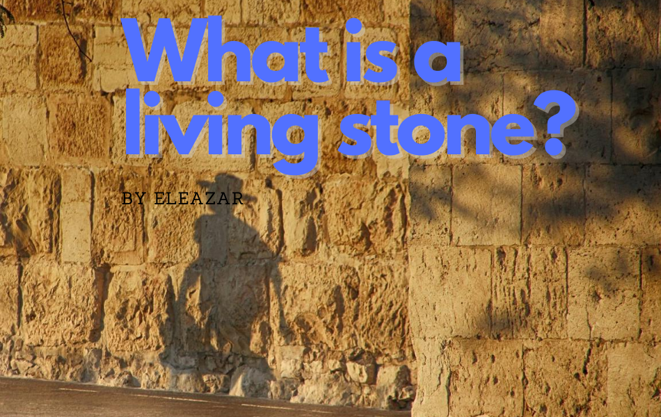 what is a living stone?